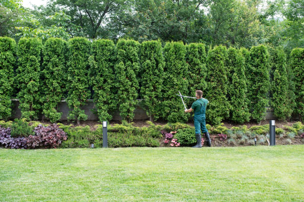 Best Pest Control for Lawns  in Ignacio, CO