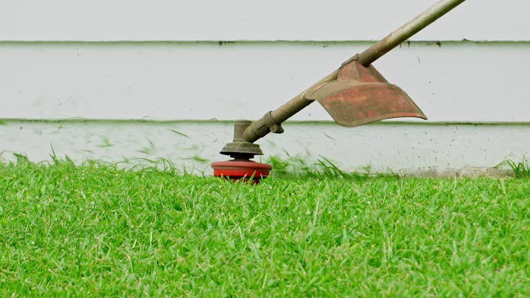 Lawn Drainage Solutions in Ignacio, CO